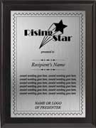 corporate recognition plaques-Rising Star Award
